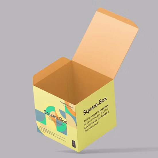 Boîte de papier en carton pliante d'impression personnalisée avec fenêtre en PVC transparent